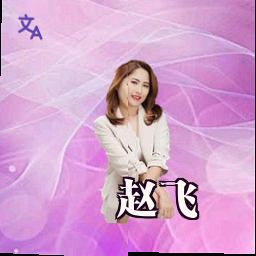 赵飞